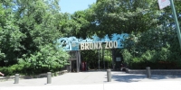 Let's Go to the Bronx Zoo - Shall We?