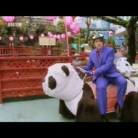 I'm Riding a Giant Panda [VIDEO]