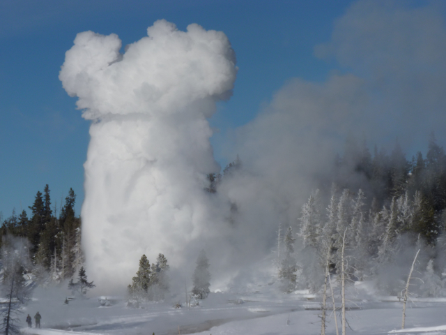 Geyser erupts in winter in Yellowstone National Park