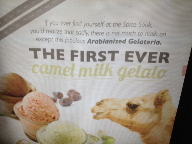 Camel milk gelato