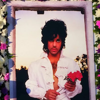 Thumbnail image for Prince Plays Hollywood Forever